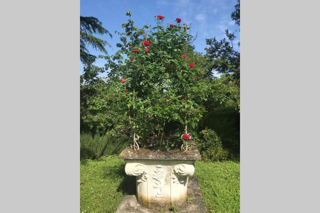 Casa La Torre Un Castello Alle Porte Di Firenze Exterior foto